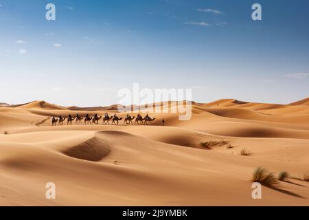 Erg cherby, Morocco, africa Stock Photo