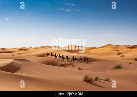 Erg cherby, Morocco, africa Stock Photo