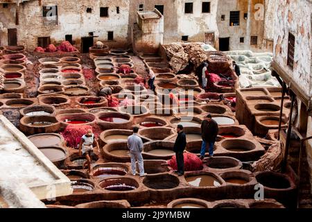 Erg cherby, Morocco, africa Stock Photo