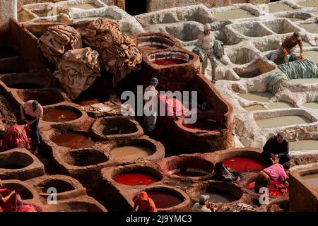 Erg cherby, Morocco, africa Stock Photo