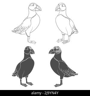 Set of black and white illustrations with puffin bird. Isolated vector objects on a white background. Stock Vector