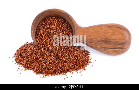 Canihua grains isolated on white background. Pile of qaniwa in wooden spoon. Dry grains of chenopodium pallidicaule Stock Photo