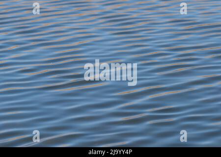 Cool blue abstract water surface with gentle ripples Stock Photo