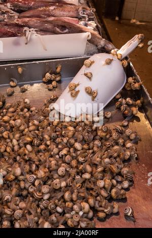 Fresh snails for sale, Rialto Fish Market, venice, Italy