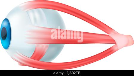 Realistic human internal organs anatomy composition with isolated image of eyeball vector illustration Stock Vector