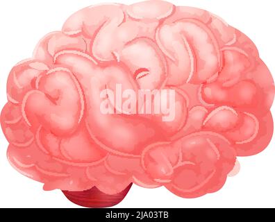 Realistic human internal organs anatomy composition with isolated image of brain vector illustration Stock Vector