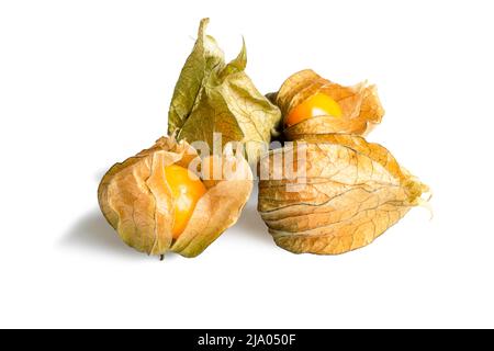 Group of physalis fruit isolated on white background  Stock Photo