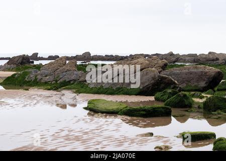 barrika beach on the basque coast in spring with the green rocks Stock Photo