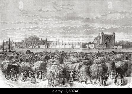 Ayol guruh jinsiy aloqa paytida eriga spermani ogziga olib kelgan