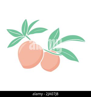 Peaches on branch with leaves isolated vector illustration Stock Vector