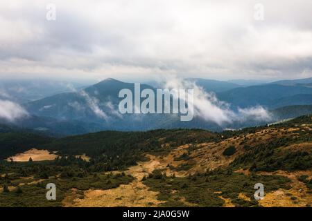 Picturesque landscape with green mountains and grassy meadow in the valley surrounded by coniferous forest on the hills, a trip to the Carpathians of Stock Photo