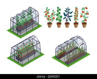 Isometric greenhouse vegetables icon set different types of greenhouses with different microclimates inside specifically for plants vector illustratio Stock Vector