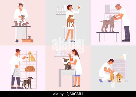 Veterinary clinic compositions set of flat animals and characters of medical specialists taking care of pets vector illustration Stock Vector