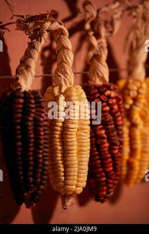 Different types of corn maize grown in the Jujuy province on display in a restaurant in Humahuaca, Argentina. Stock Photo