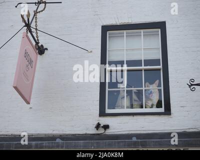 Queenborough, Kent, UK. 26th Apr, 2022. A shopfront in Queenborough decorated for the Queen's Platinum Jubilee Weekend. Credit: James Bell/Alamy Live News Stock Photo