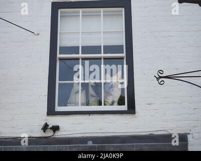 Queenborough, Kent, UK. 26th Apr, 2022. A shopfront in Queenborough decorated for the Queen's Platinum Jubilee Weekend. Credit: James Bell/Alamy Live News Stock Photo