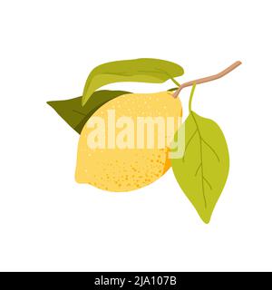 Whole lemon fruit with plant leaves Stock Vector