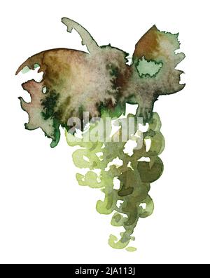 Watercolor illustration of a green wine grape with leaves in white back Stock Photo