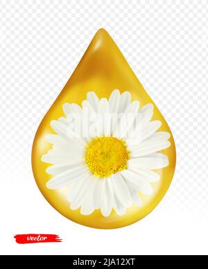 Oil drop with chamomile flower isolated on transparent background. Realistic vector illustration of chamomile oil drop. Stock Vector