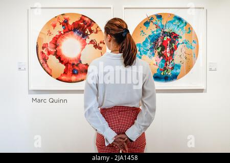 London, UK. 26th May, 2022. A member of staff from Manifold Editions poses with Marc Quinn's 'Geography' (left) and 'Chorus Wave Radiation Blue' . The 37th Edition of the London Original Print Fair opens at Somerset House, running until 29th May 2022. It is the longest running print fair in the world, founded in 1985 at the Royal Academy of Arts. Credit: Imageplotter/Alamy Live News Stock Photo