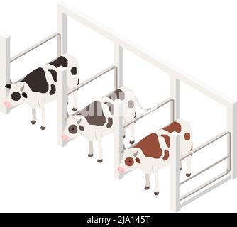 Milk production isometric composition with isolated image of range with cows on blank background vector illustration Stock Vector