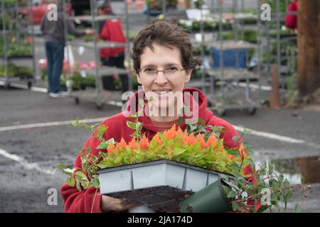 Mature woman at an urban farmers market on an overcast day carrying a tray full of colorful flowers Stock Photo