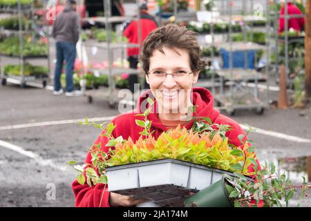 Mature woman at an urban farmers market on an overcast day carrying a tray full of colorful flowers Stock Photo