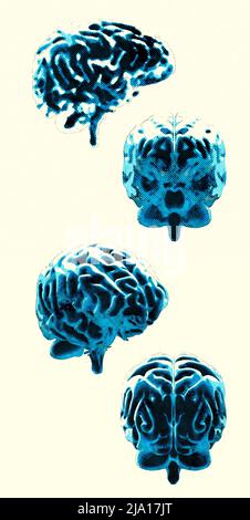 How the brain works. Front, side and back view of the brain. Synapses and neurons. Connections. Take care of your brain, stimuli, ideas. Degenerative Stock Photo