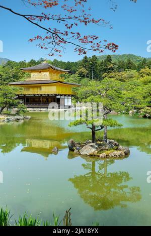 Japan. Kyoto. Kinkaku-ji Temple (the Golden Pavilion) Stock Photo