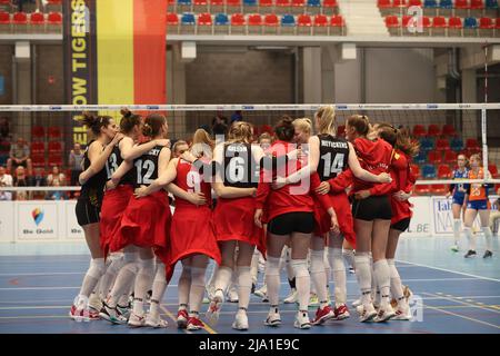 Belgium's players celebrate after winning a friendly volleyball game between Belgian national women's team the Yellow Tigers and the Netherlands, Thur Stock Photo