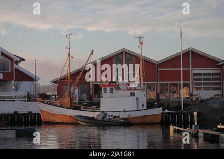 sailboat and racerboat in port Stock Photo