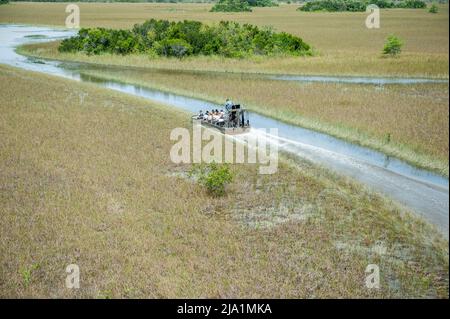 Stock images of Everglades National Park, Florida - Airboats flying over the Everglades National Park. Everglades Airboat Tours Glide and Guide Throug Stock Photo