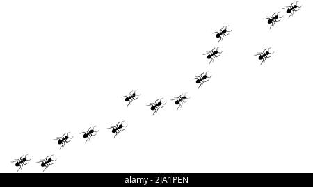 Ant trail A line of worker ants marching in search of food Vector illustration horizontal banner Ant road column Teamwork Hard work metaphor. Black in Stock Vector