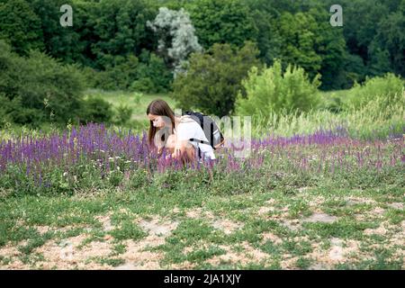 Pretty young woman picking a bouquet of medic herbs. Lilac flowers and greenery Stock Photo