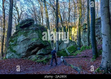 Hiker with dog on the Mullerthal Trail, Luxembourg's Little Switzerland, Luxembourg Stock Photo