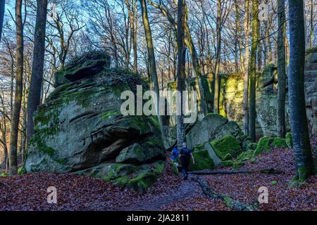 Hiker with dog on the Mullerthal Trail, Luxembourg's Little Switzerland, Luxembourg Stock Photo