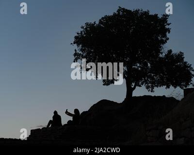 Silhouette view of a tree and two women sitting under it on the hill together at twilight, one of which with smartphone Stock Photo