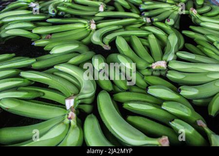 Guayaquil, Ecuador. 09th Feb, 2018. Bananas are being washed in a pool of water at the processing facility on the 270 hectares of a banana plantation. Workers harvest and process bananas at 'Nueva Colonia' plantation in Guayaquil. Ecuador is the largest global exporter of bananas. (Photo by Eduardo Leal/SOPA Images/Sipa USA) Credit: Sipa USA/Alamy Live News Stock Photo