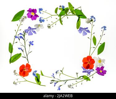 Spring flowers wreath frame on white background. Stock Photo