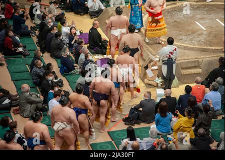 Sumo wrestlers enter the ring ahead of the Grand Sumo Tournament in Tokyo in May 2022. Stock Photo