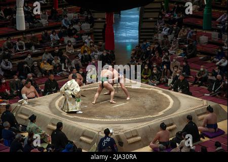 Two sumo wrestlers grappling during a bout in the Grand Sumo Tournament at the Ryogoku Kokugikan stadium in Tokyo, January 2022. Stock Photo