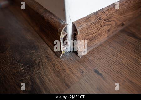 Damaged Skirting Board Detached From The Wall After The Apartment Was  Flooded Stock Photo - Download Image Now - iStock