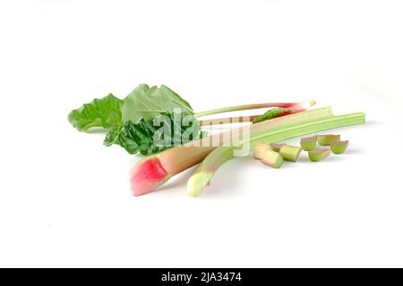 Red and green rhubarb stalks with leaves, rhubarb pieces isolated on a white background. Fresh useful plant from the garden. Stock Photo