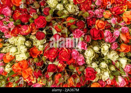 Beautiful flowers background for wedding scene. Stock Photo