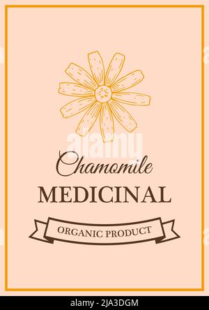 Hand drawn vintage chamomile herbal tea packaging design. Vector illustration in sketch style Stock Vector