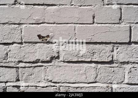 Image of rough briicks on the wall in a city centre. The texture shows bricks that are weathered and worn. Stock Photo