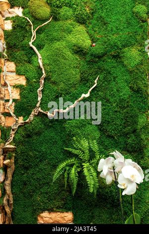 Wall moss art, Wooden honeycombs, Vertical garden, Preserved moss, Living  moss