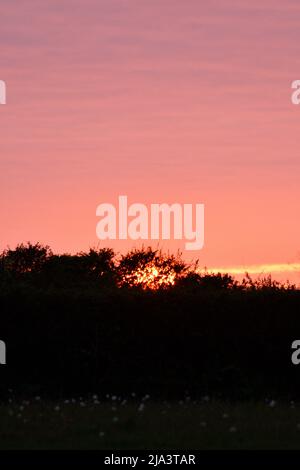 Sunset over Port Issac Cornwall England uk Stock Photo