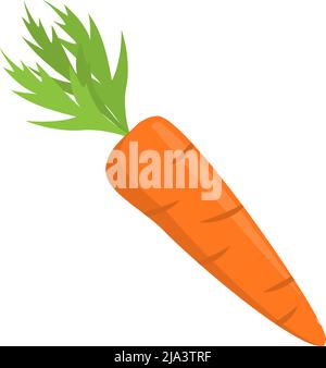 carrot with leaves isolated on white background, flat design vector illustration Stock Vector