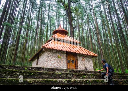 july 21st 2021 Uttarakhand. A man sitting on the steps of a beautiful temple amidst deodar forest dedicated to Lord Shiva Koneshwar Mahadev temple Dewal Stock Photo